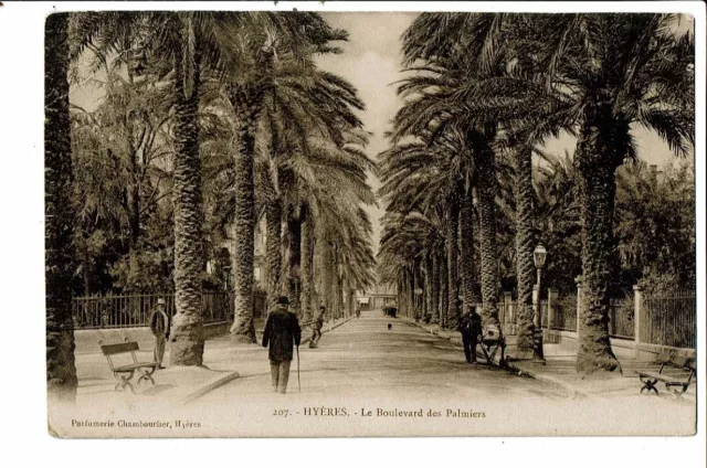 CPA-Carte postale- France-Hyères- Boulevard des Palmiers -VM17318