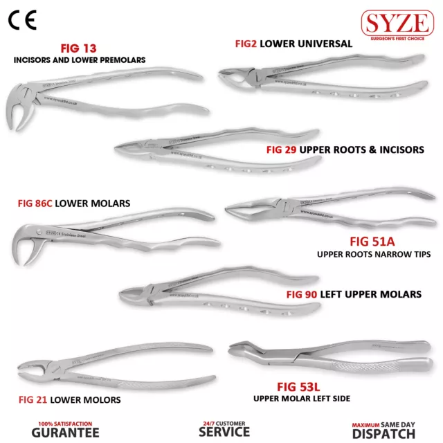 Surgical Extraction Forceps Set Dental Pliers Oral Surgery Teeth Removal Tools