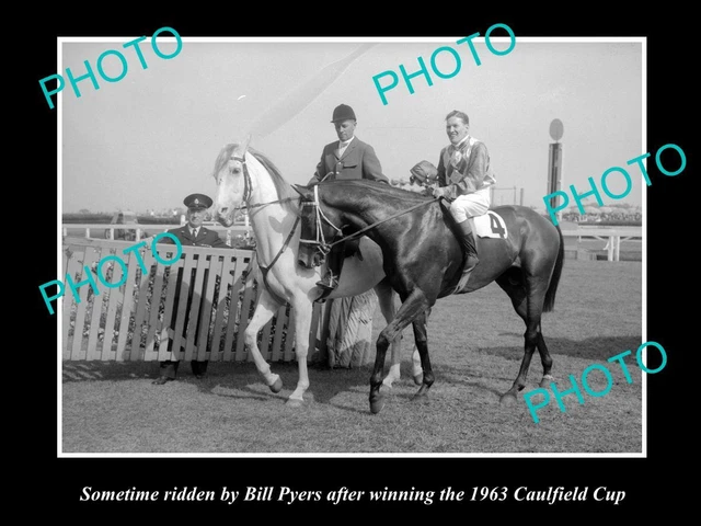Old Large Horse Racing Photo Of Sometime Winning The 1963 Caulfield Cup Pyers 2
