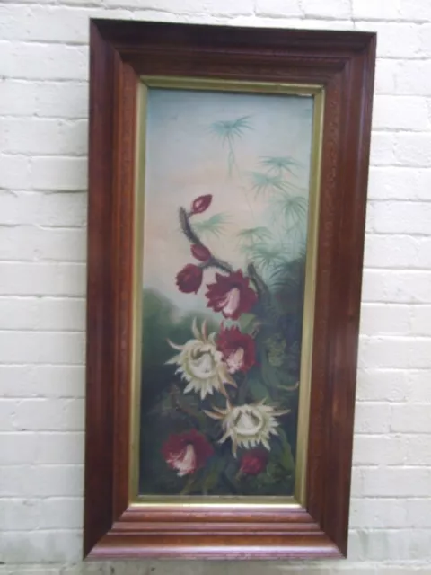 ANTIQUE  STILL LIFE OIL PAINTING CACTUS FLOWERING IN CARVED WOODEN FRAME 1900's