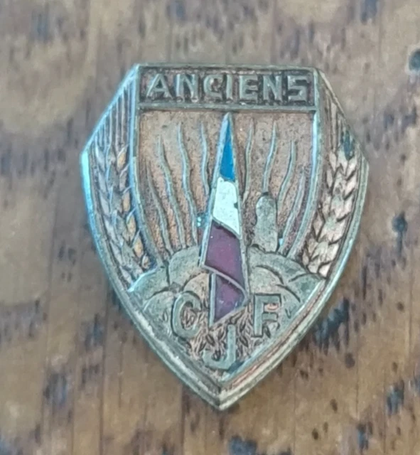 Insigne Boutonnière Original 6° CJF Chantiers De Jeunesse Afrique Du Nord - Émail, WWII, Bon état