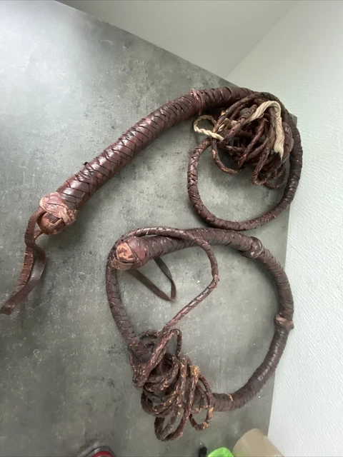 Voir Bullwhip en Cuir - 8, 10 ou 12 pieds de long Cameroon