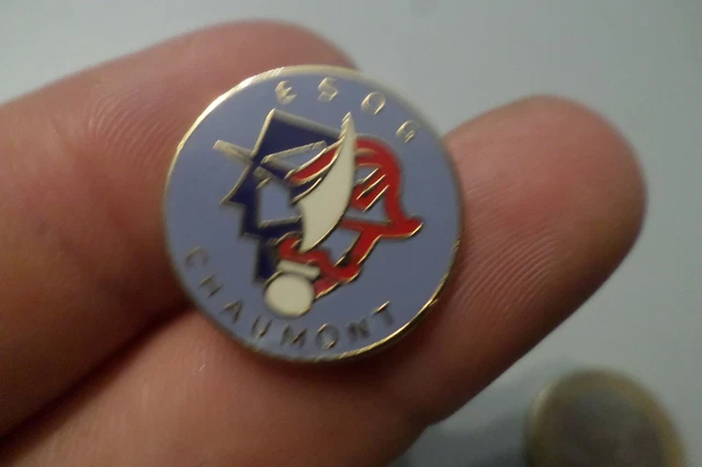 Insigne 313° Promotion ESOG de Chaumont - Gendarmerie Nationale - école
