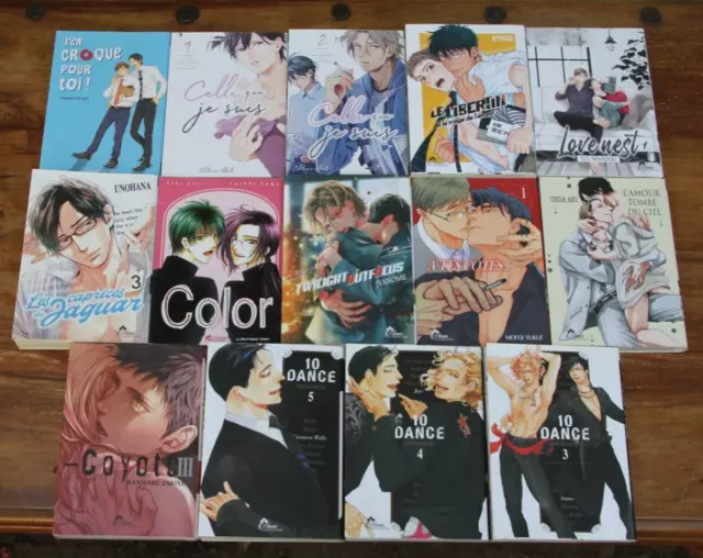 Manga X Gay - Lot De 14 Mangas - Livres Et Jaquette En Parfait Etat - 2007-2021