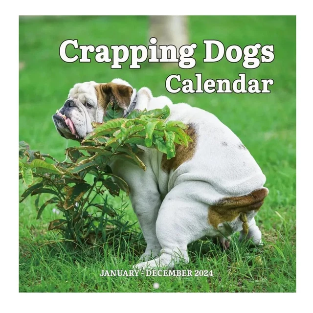 CLEARANCE UNDER 5 Advent Calendar 2024 2024 Dog Poop Calendar Dog Poop