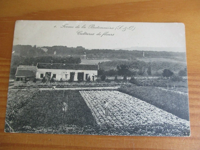 Cpa Seine Et Oise 95  Ferme De La Bretonniere Culture De Fleurs
