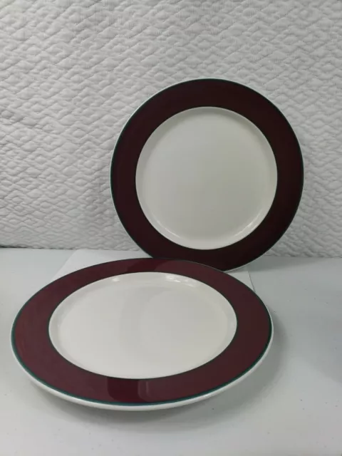 Nancy Calhoun FUSIONS RASPBERRY: Set of 2 Dinner Plates, SUPERB Condition!