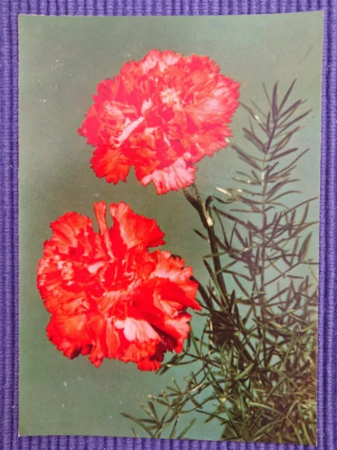 alte Ansichtskarte Postkarte AK Kunstkarte Blumen Nelken Emmerich Leipzig