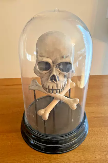 Halloween Skull & Cross Bones Under Clear Dome