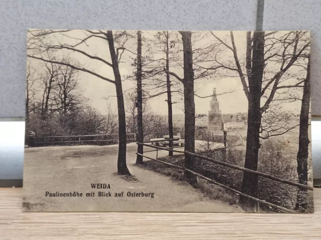 Alte Ak " Gruss aus Weida Paulinenhöhe m. Blick zur Osterburg "