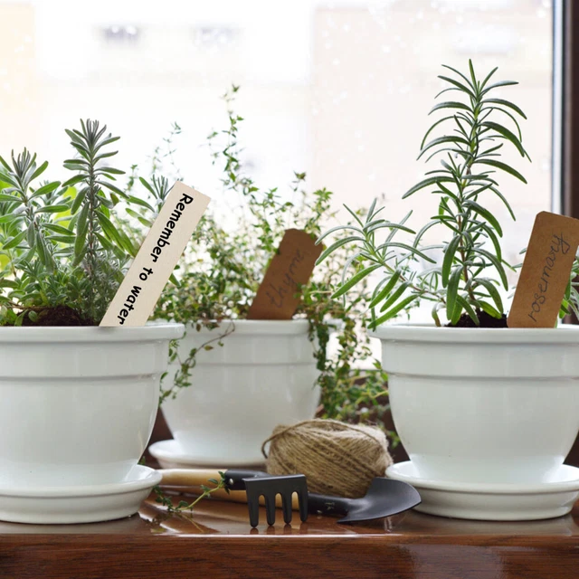 20 Etichette Legno Per Piante Con Lavagna - Segnapiano Da Orto Giardino, Scrivibili Con Gesso - Foto 9