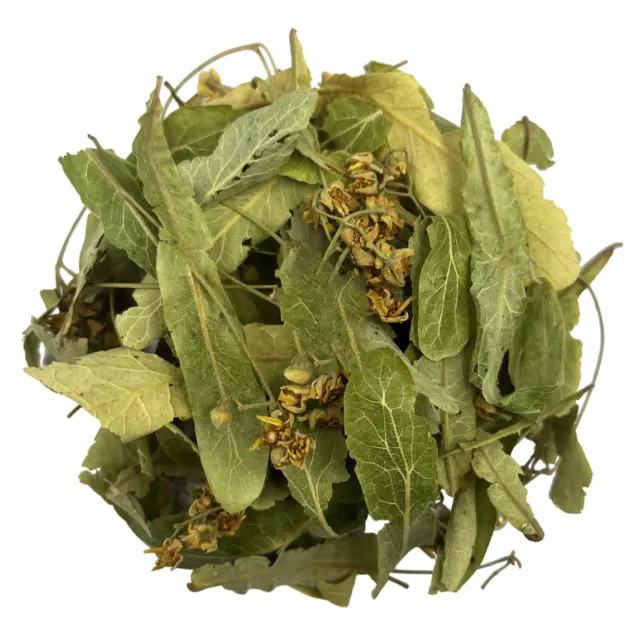 Tilleul Feuilles et Fleurs Séchées Tisane 50g-500g - Tilia Cordata