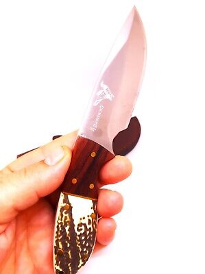 Browning Buckhorn Wallnut Handle Fixed Blade Knife