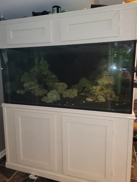 300 Gallon Saltwater tank
