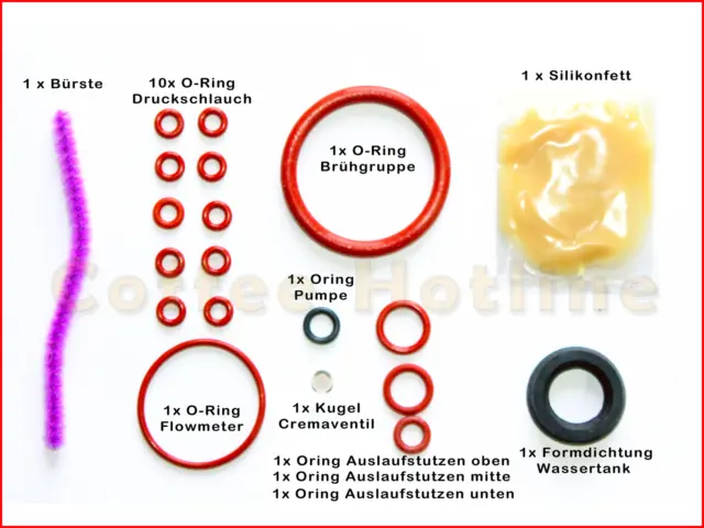 Saeco Royal O-Ring Dichtung Plegeset Brühgruppe Auslaufstutzen Flowmeter