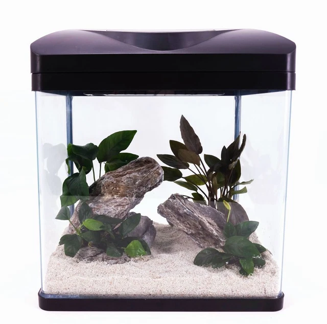 NANO AQUARIUM LAGUNA en Noir Complet + LED Éclairage + Filtre ...