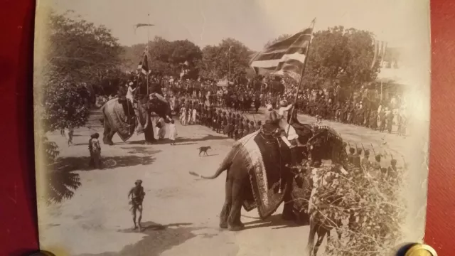 1890 Large Antique Photograph Maharaja Elephant Carriage Procession Jaipur India