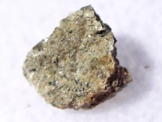 .227 grams NWA 1110 Martian Shergottite Meteorite from Mars fragments with a COA
