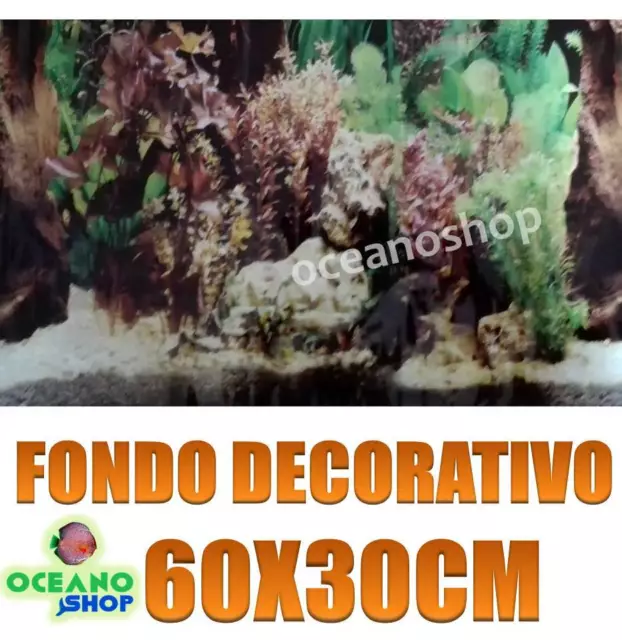 FONDO DECORATIVO de ACUARIO longitud 60cm altura 30cm terrario pecera D479