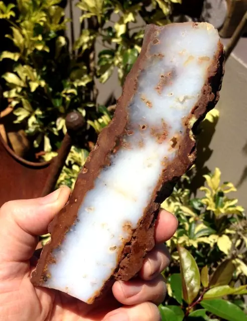 White Chrysoprase Slab Western Australia New On Market 150 X 50 X 21 Mm 325 G