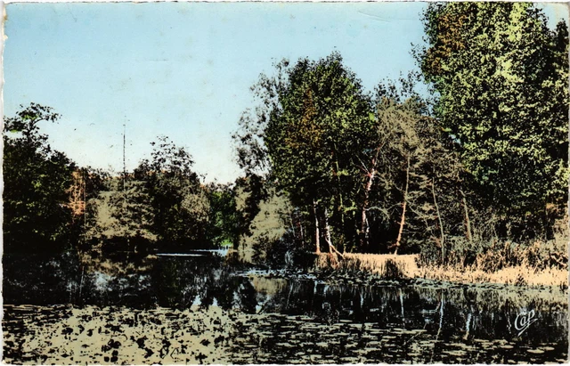 CPA Montmorency Etang de la Chasse (1317392)