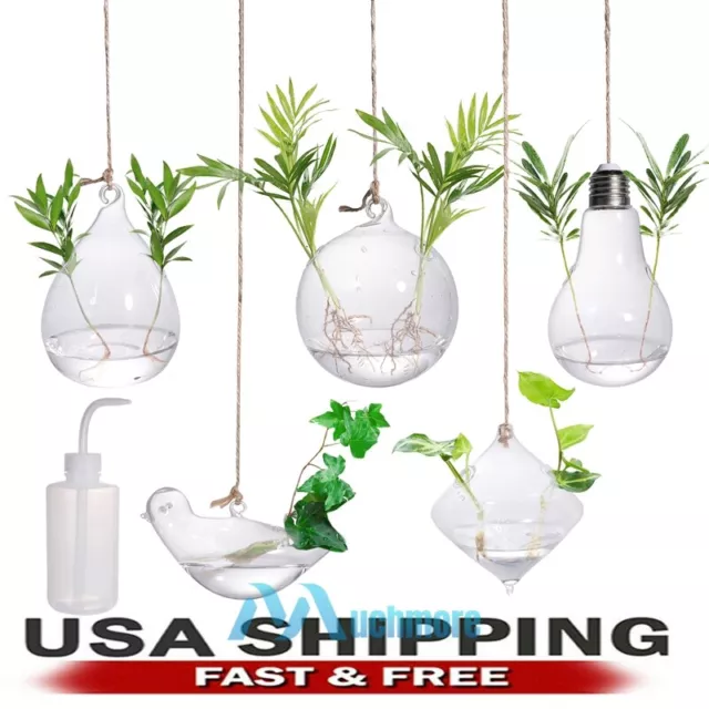 5Pcs Transparent Glass Wall Hanging Flower Vase Planter Terrarium Container Pot