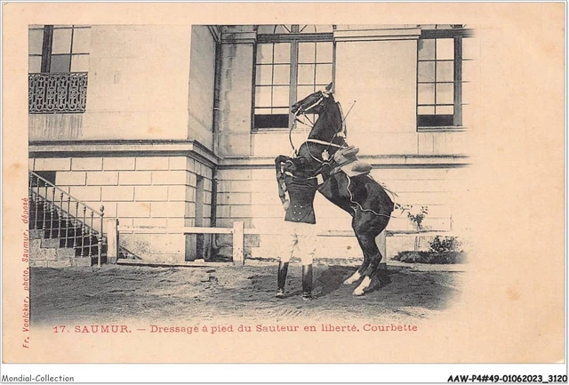 Saumur - Dressage À Pied Du Sauteur En Liberté, Croupade