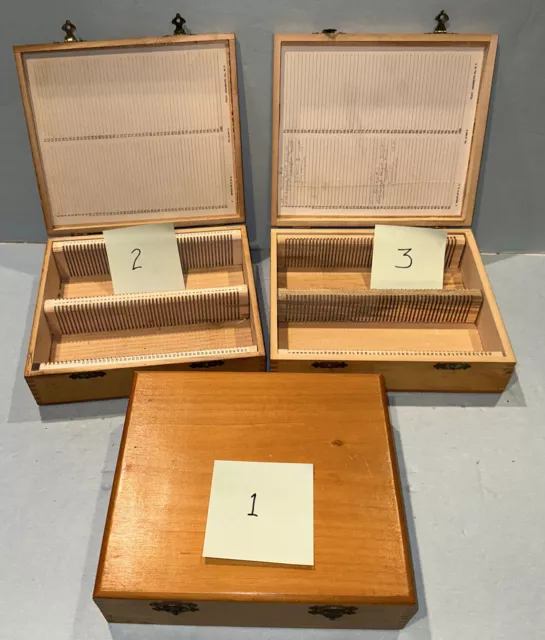 Vintage Wooden Microscope Slides Storage Box For 100 Slides Made In NY, USA