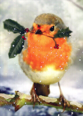 Northern Exposure Bird Holding Holly Branch in Beak Box of 12 Christmas Cards