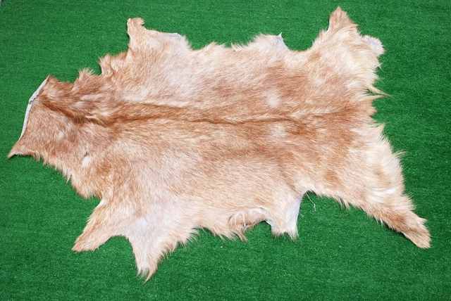 Nueva alfombra piel de cabra piel de pelo en área talla 34""x22"" piel de cabra animal A-2677