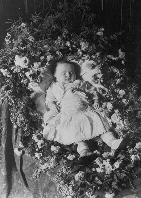 Antique Post Mortem Baby Photo 136b Oddleys Strange & Bizarre