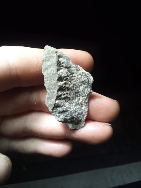 Morrow Mountain or Poplar Island point arrowhead projectile Central Va