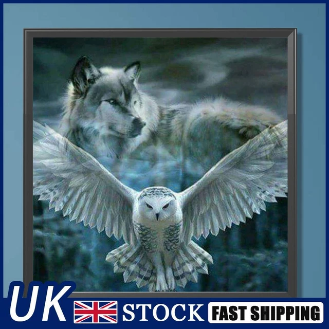 Paint By Numbers Kit DIY Oil Art White Owl Picture Home Wall Decoration 40x40cm