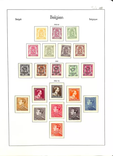 [OP87] Belgium lot of very fine MNH stamps on 12 pages