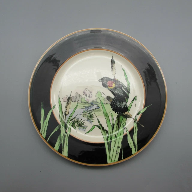 SYRACUSE Nature Study Birds #31 Blackbird Dinner Plate Railroad Homestead Hotel