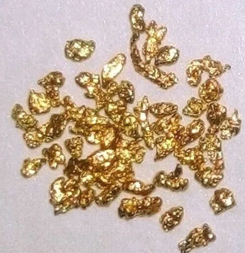Gold Panning Paydirt Bag