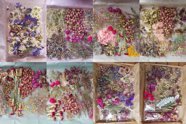 Getrocknete verschiedene Blumen Blütenblätter zum Selbermachen Handwerk Wachs schmilzt Kerzen Epoxidharz Badbombe