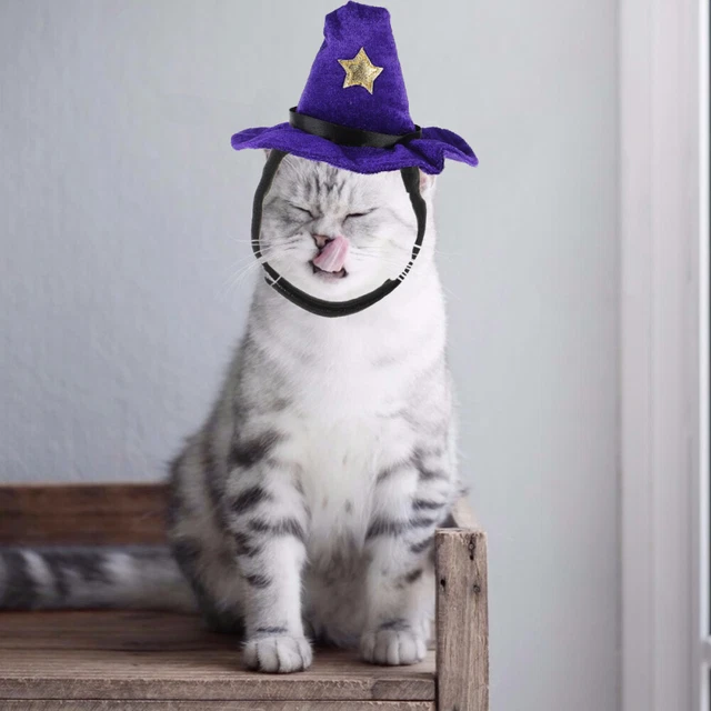 Cat Halloween Outfit Witch Cosplay Dog Outfit Hat Witch Costume Women Adjustable 6