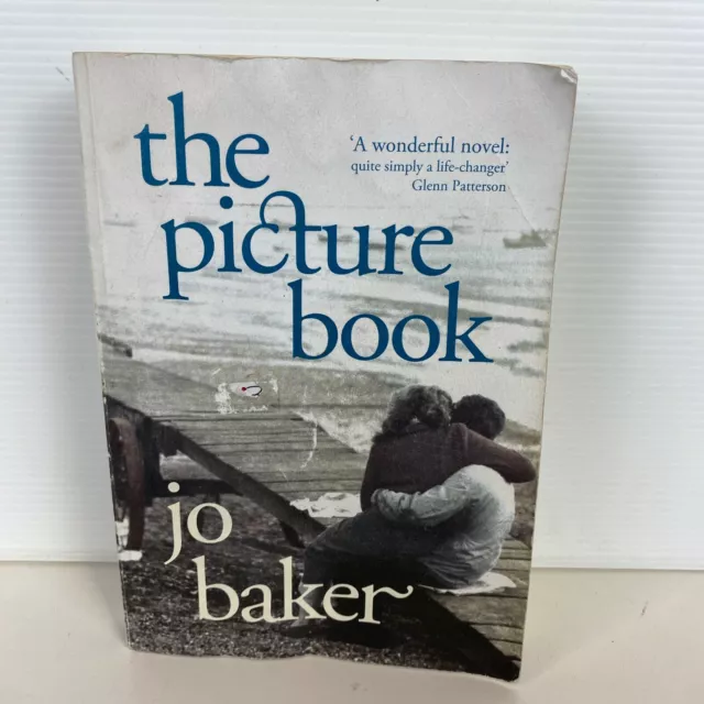 The Picture Book by Jo Baker Large Paperback Historical Family World War 1