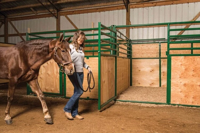Tarter ESFSD10 10 ft. Expo Front Horse Stall with Sliding Door, Green