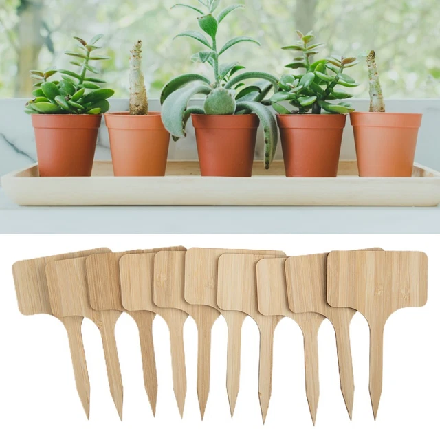 200 Etichette Per Piante In PVC Blu - Resistente, Impermeabile E Riutilizzabile Per Identificare Fiori E Semi In Giardino O In Casa