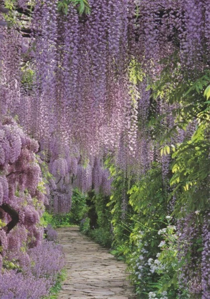 Olivia Rodrigo Bandiera Da Giardino, Bandiera Da Giardino Di Olivia