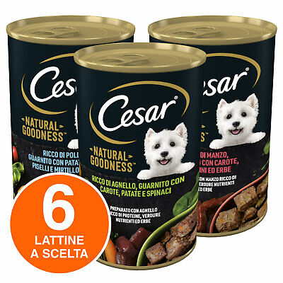 Cesar Natural Goodness Cibo per Cani  Adulti Gusto a Scelta - 6 Lattine 400g