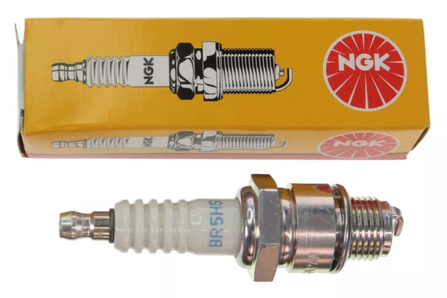 BR5HS NGK Spark Plug - 3722