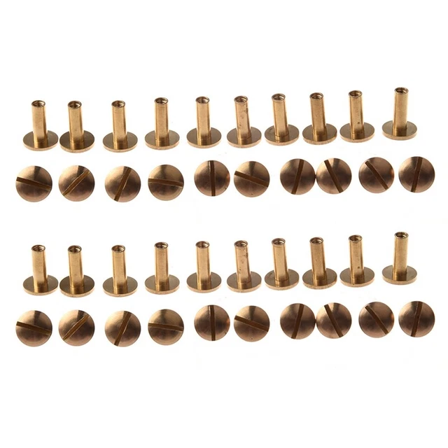 20x Brass Chicago Screw Rivets - Leather Craft Belt Wallet Studs, Gold Tone