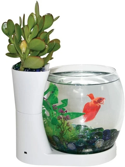 Elive Betta Fish Bowl & Planter Set Up Tank Kit White .75 Gallon LED Light Timer