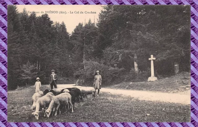 Carte postale - Environs de Brénod le col du cruchon