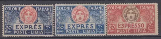 Italy Libia - Exp. n. 3(2 shades)-4 MH*