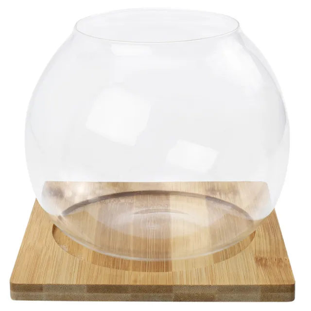Small Fish Tank Glass Vases Terrarium Bowl Desktop Cactus Plant
