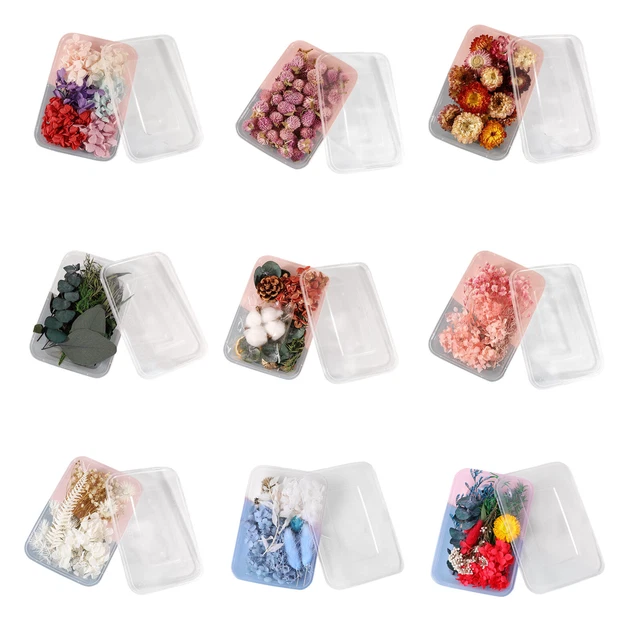 Dried Flower Material Package Preserved Flower Scented Candle for Rasin Crafts F